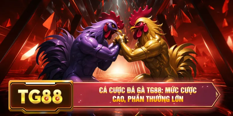 Cá cược đá gà c3 tại tg88 sảnh đá gà lớn nhất Việt Nam